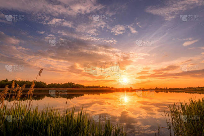 春季或初夏傍晚，池塘或湖面上方美丽的日落或日出美景，天空多云，前景为芦草。景观。水反射.