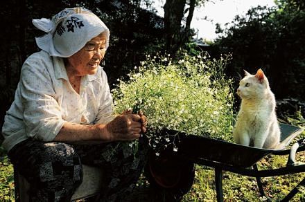 《外婆和她的猫》，日本摄影师伊原美代子无...