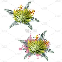 热带多彩的叶子组成。用于制作请柬、贺卡和壁纸。水彩