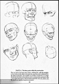 安德鲁卢米斯的素描教程 - 绘制头部和双手 - 天堂鸟 - 天堂鸟的博客