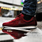 2010新配色Nike Air Pegasus ’89