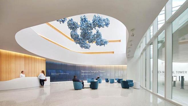 2019 IIDA Healthcare...