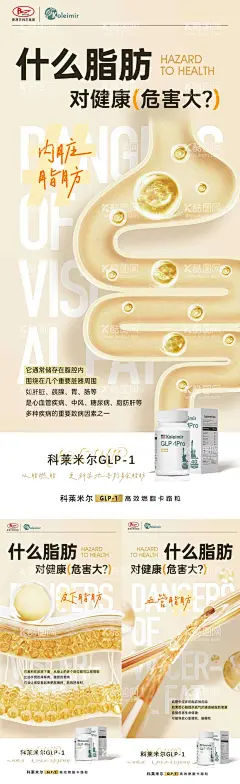 科普海报  - 源文件下载【酷图网】海报,科普,健康,小知识,脂肪,肠道,减肥,减脂,