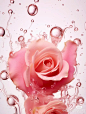 Camera_XHS_16879441405411000g0082kv32422jc05g5oq4nrr65nfa7u1ean0