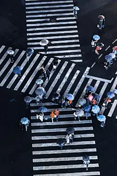 图 (1)