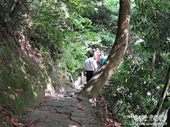 Wangenchuan采集到多图 人间天堂（十五） 