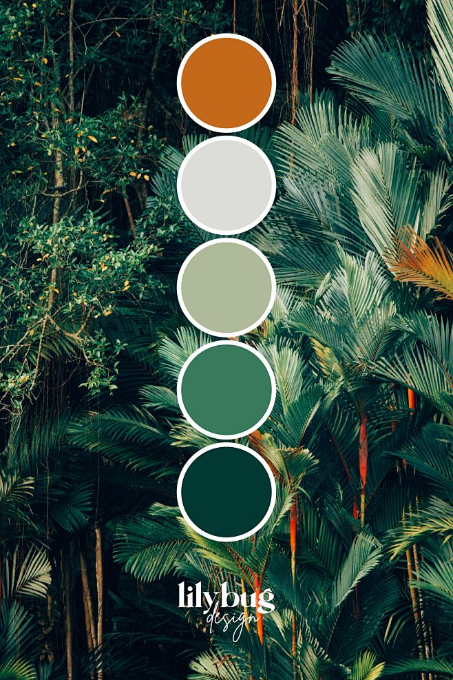 其中包括图片：Tropical Fore...