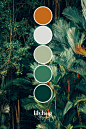 其中包括图片：Tropical Forest Colour Palette