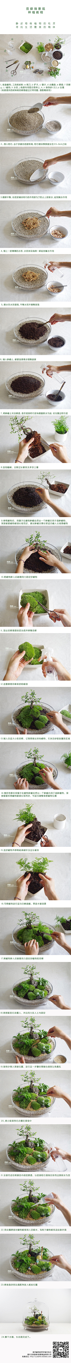 totpu采集到多肉&植物