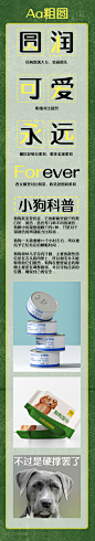 Aa粗圆
