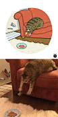 Artist Is Bringing Forgotten Memes Of Cats In The Form Of Cartoons And This Is So Purrfect