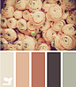 ranunculus tones