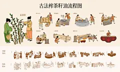 古法榨茶籽油流程图