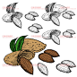 A0208矢量AI设计素材 坚果食物手绘菜单图标核桃花生碧根果腰果-淘宝网