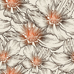 一噹噹采集到插画 花朵