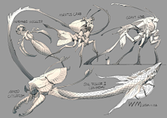 Anivia006采集到幻想画风（不明）