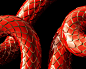 snake  lettering  3D Liquid chinese