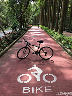 youqi1124采集到慢跑道