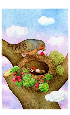 博文配图_孔雀插画_新浪博客