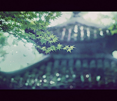 是木易呀采集到有灵感的风景