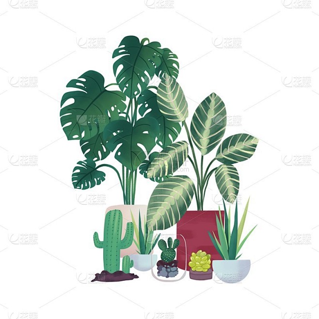 收集室内盆栽植物插图设计