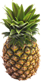 Pineapple PNG image, free download