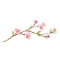 手绘粉色花枝花卉植物元素