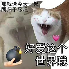 精神状态良好の发疯文学表情包_1_Olga