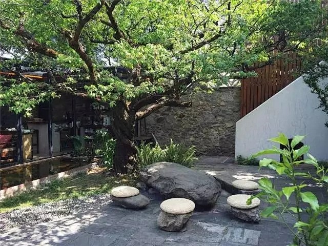 乡村小院 (1)