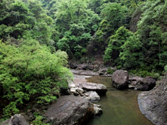 还没失眠采集到自然素材