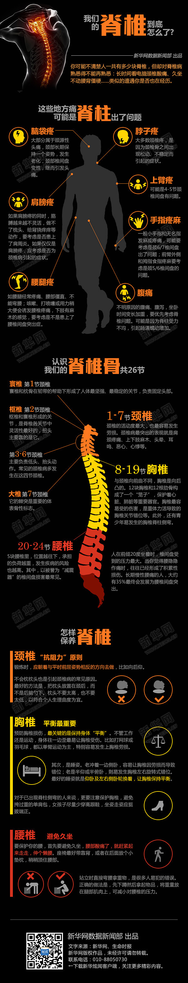 信息图_我们的脊椎到底怎么了