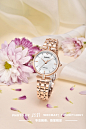 014ece6046165811013ef90f5bb87e.jpg@1280w_1l_2o_100sh