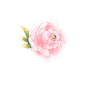 a3
