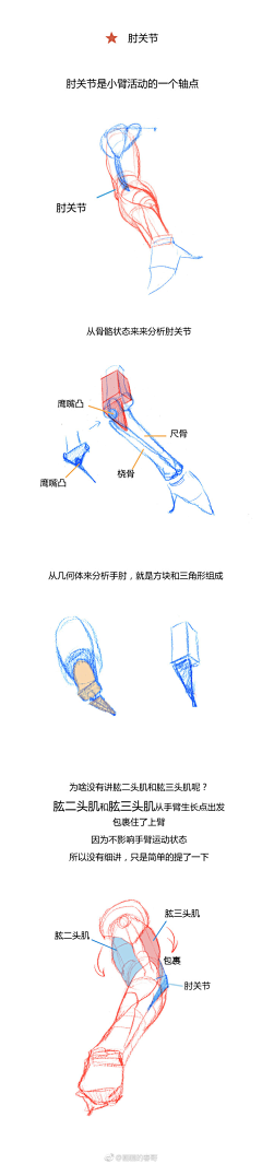 yijing9891采集到艺用人体