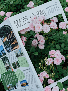 雨天里的太阳采集到会场布置
