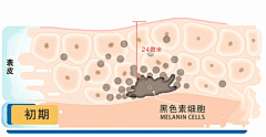 卷ooo采集到护肤GIF