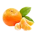 橘子