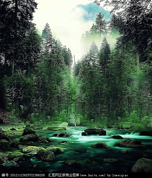 森林溪水