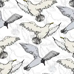 野生鸟类海鸥。黑白雕刻水墨艺术。无缝背景模式.