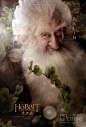 霍比特人：意外之旅The Hobbit: An Unexpected Journey(2012)角色海报 #06