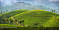 慕纳尔的茶园，印度喀拉拉邦 (© Mazur Travel/Shutterstock) | 必应每日高清壁纸 - 精彩,从这里开始