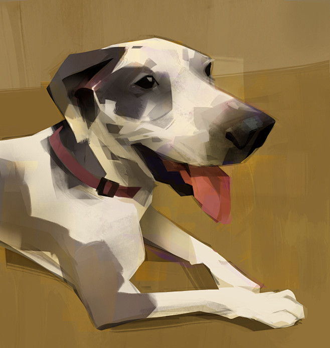 cats and dogs, Thoma...