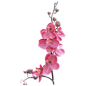 来自相册