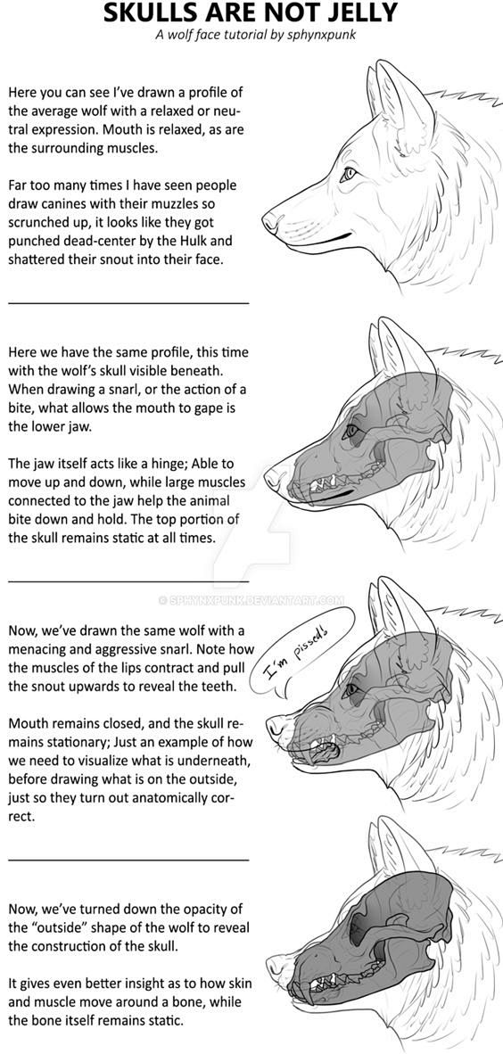 Canine head - Mini T...