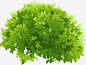 绿色树丛手绘高清素材 手绘 树丛 绿色 免抠png 设计图片 免费下载