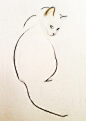 Saatchi Art Artist: Kellas Campbell; Charcoal 2013 Drawing "Charcoal Pencil Cat"