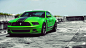 Ford Mustang Boss 302 & V6