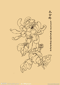 因为我懂得采集到B-线稿，白描