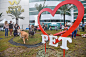 “Pet park”的图片搜索结果