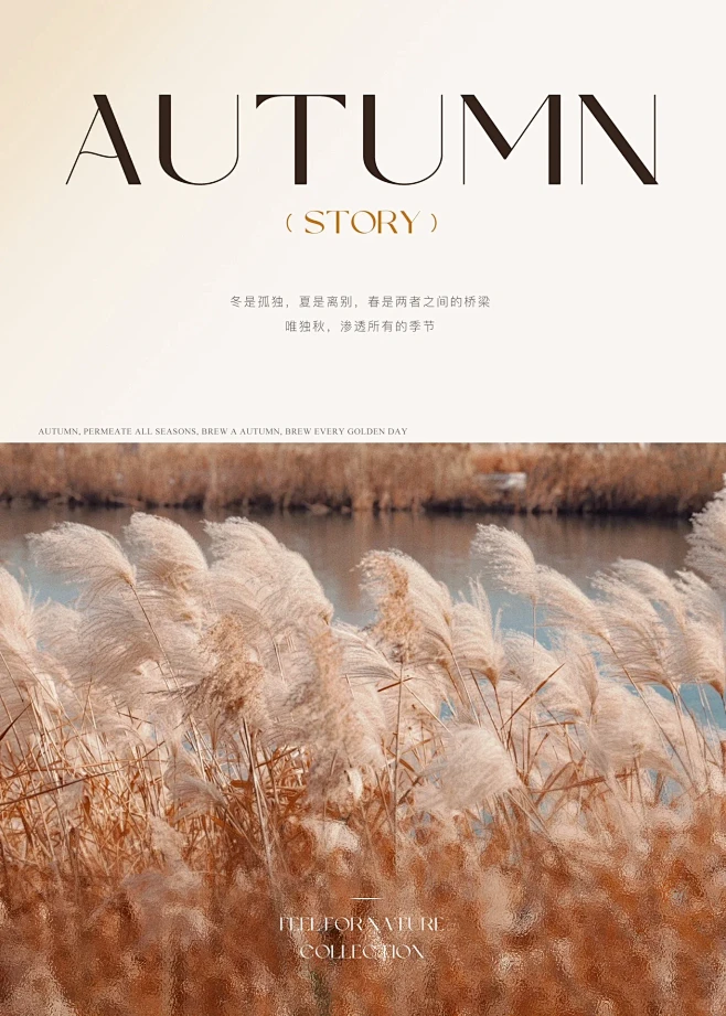 Autumn秋上新｜品牌视觉